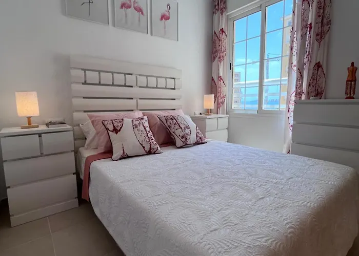 Cactus De Veneziola *