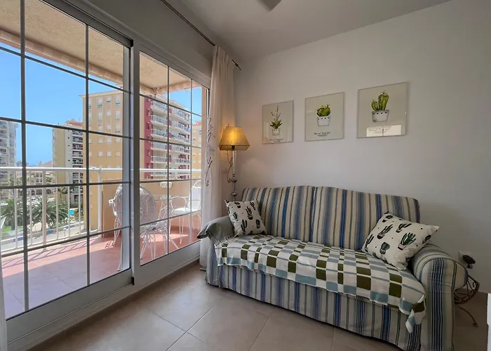 Cactus De Veneziola *