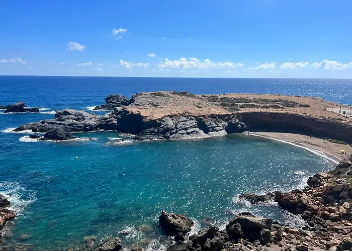 Cactus De Veneziola *