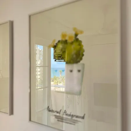 아파트 Cactus De Veneziola *