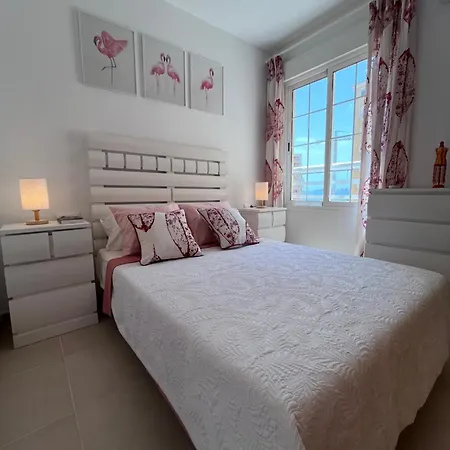 Cactus De Veneziola *