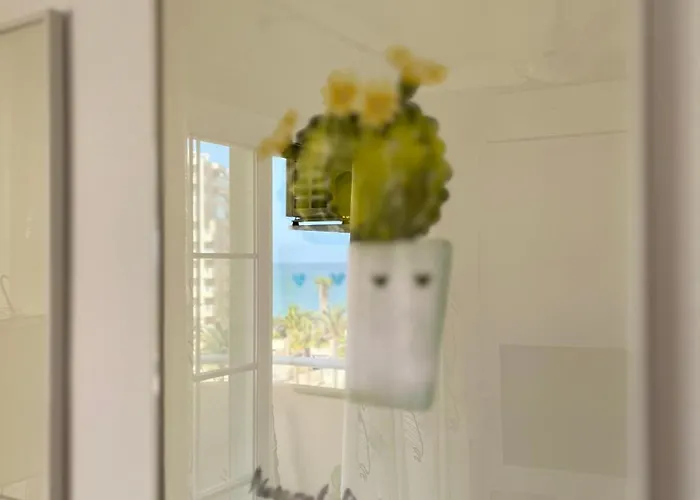 Daire Cactus De Veneziola *