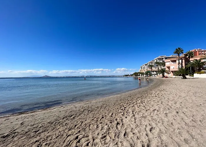 Cactus De Veneziola Daire *