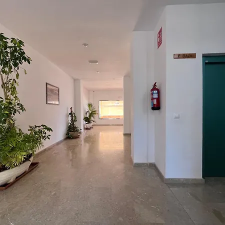 Cactus De Veneziola Lejlighed La Manga