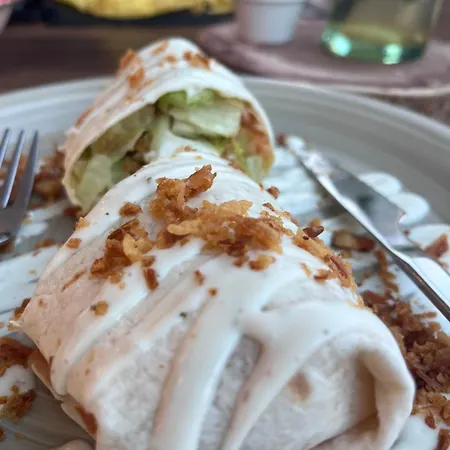 Cactus De Veneziola La Manga