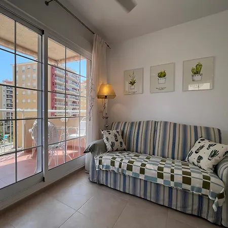 Cactus De Veneziola *