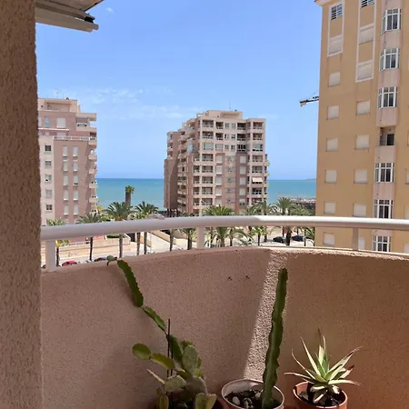 Cactus De Veneziola * La Manga