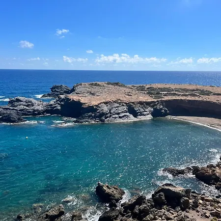 Cactus De Veneziola *